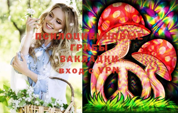 индика Алексеевка