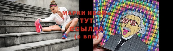 индика Алексеевка
