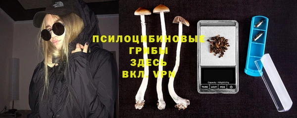 молекула духа Алексин